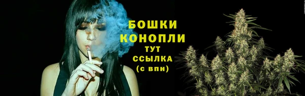мяу мяу мука Кодинск