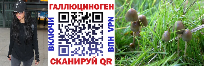 Псилоцибиновые грибы GOLDEN TEACHER  купить наркотик  Севастополь 